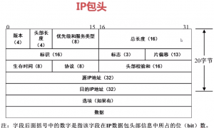 The IP header