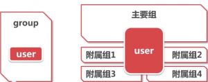 The main and subsidiary group